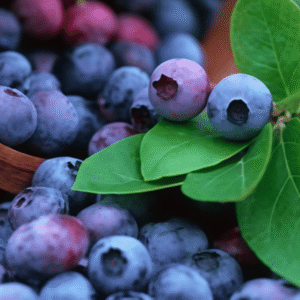 Blueberries
