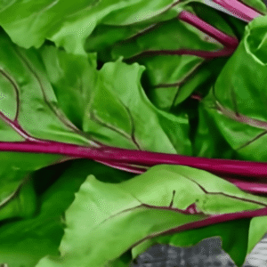 Swiss chard